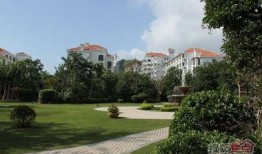 园林绿化爆料视频最新,惊艳美景与环保理念完美融合”