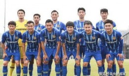 现役球员爆料最新消息新闻,揭秘赛场背后惊人真相！