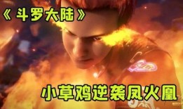 吃鸡爆料火凤凰视频,揭秘全新游戏玩法与视觉盛宴