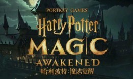 哈利波特最新爆料卡,神秘新篇章，揭秘未公开的魔法世界秘密