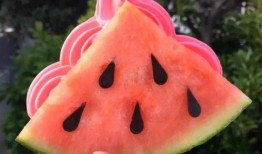 越南网红吃瓜是谁,“揭秘越南网红吃瓜背后的故事与影响力”