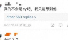 卓伟爆料古装男明星视频,卓伟揭秘娱乐圈不为人知的一面